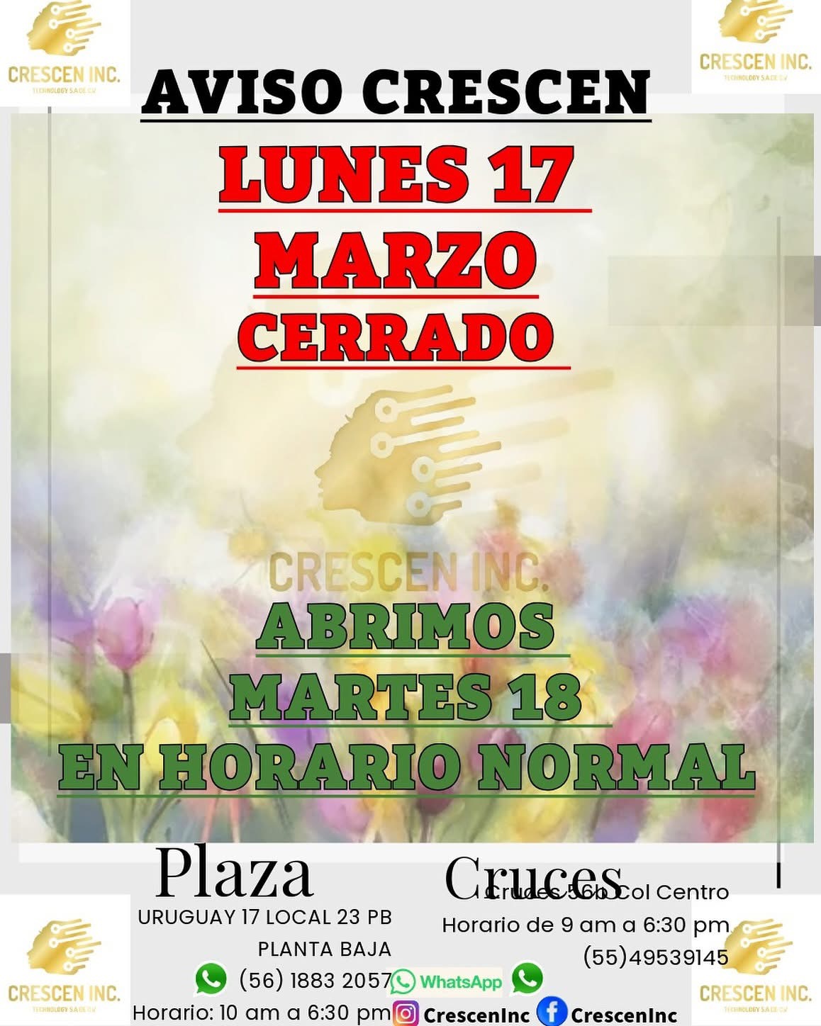 facebook imagen